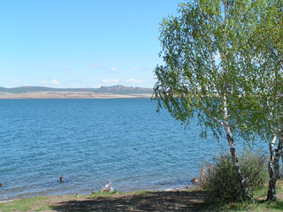 syberia-shira_spring[770].jpg
