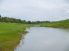 2417096.jpg
