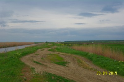 Desktop_009.jpg
