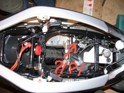 x_79bda879.jpg