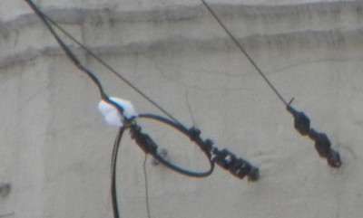 DSCN6765.jpg