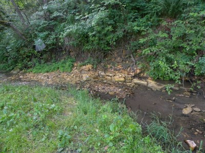 DSCN6003.jpg