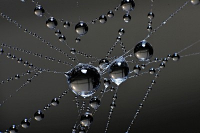 Desktop_005.jpg