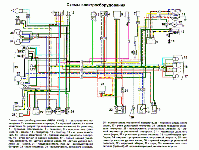 moto_schem_Honda_Lead_NH50_NH90.gif