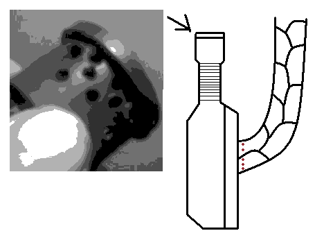 2.GIF