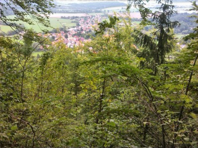 IMG_20150903_133757.jpg