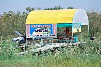 Домой. (2).jpg