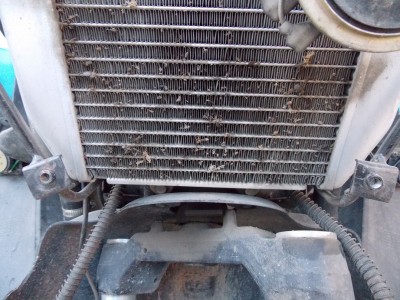 DSCN5915.JPG