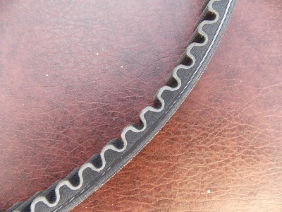 DSCN35051.JPG