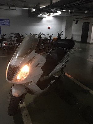 Scoot 01.JPG