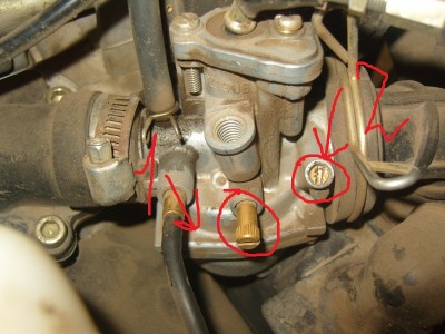 SS101611.JPG