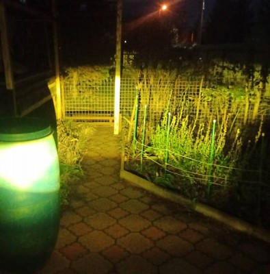 только ближний.jpg