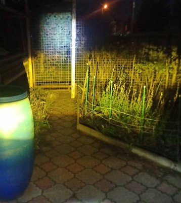 вместе с дальним.jpg