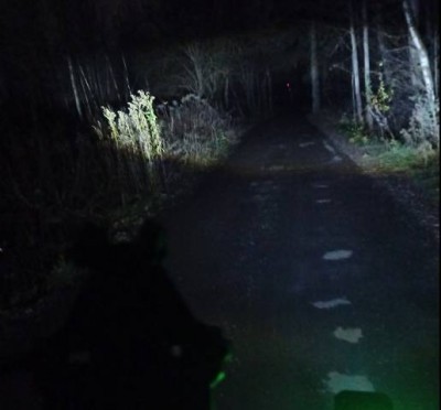 Белый ближний [не ближний он].jpg