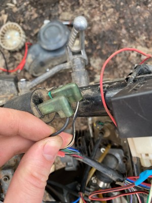 белка 3 (1).jpg