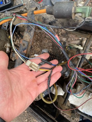 белка 4 (1).jpg