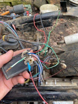 белка 5 (1).jpg