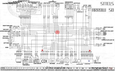 схема проводки белка.jpg
