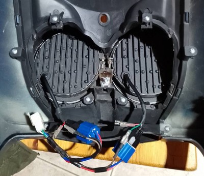 Морда изнутри.jpg