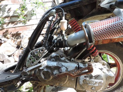 abkmnh013.jpg