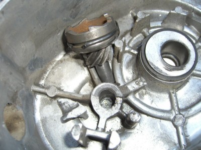 CIMG9668v.JPG