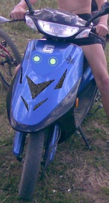 .jpg