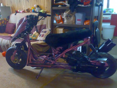10022010181.jpg