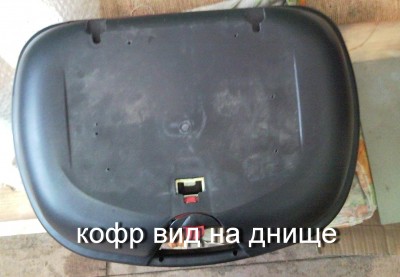 .jpg