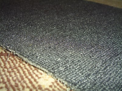 S2020252.JPG
