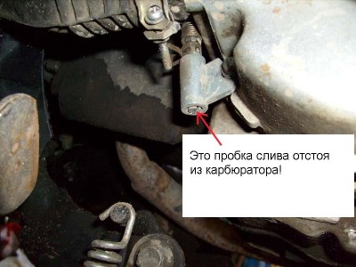 S7300332.jpg