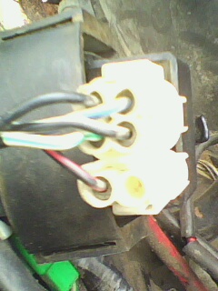 IMG0011A.jpg