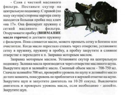 масла.jpg