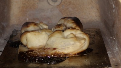 DSC00340.JPG
