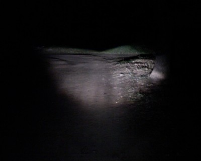 DSC00101.JPG
