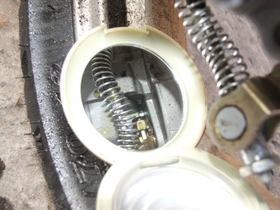 file1.jpg