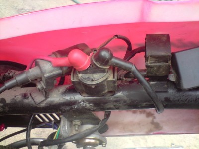 P180610_17.23.JPG